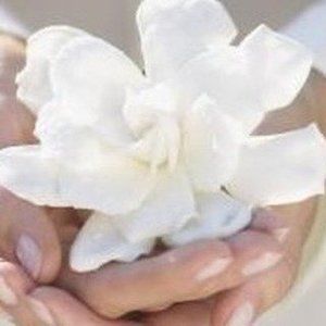 Meet your Posher, Kamaile